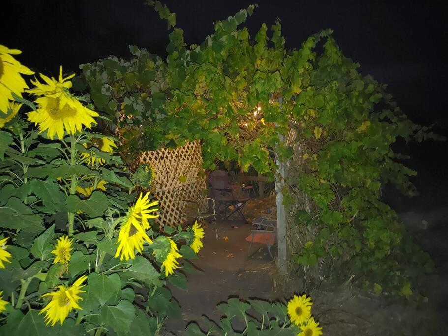 The Ganja Getaway Villa Arroyo Grande Exterior photo