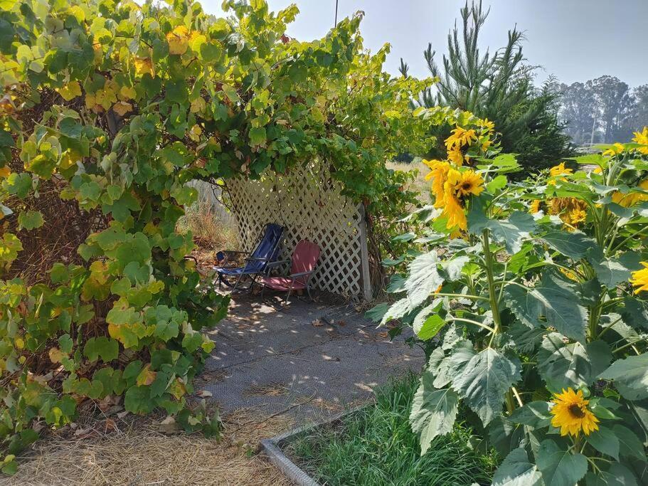 The Ganja Getaway Villa Arroyo Grande Exterior photo