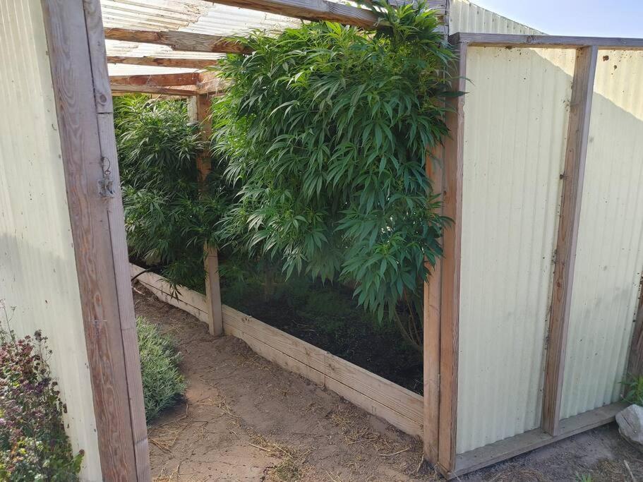 The Ganja Getaway Villa Arroyo Grande Exterior photo