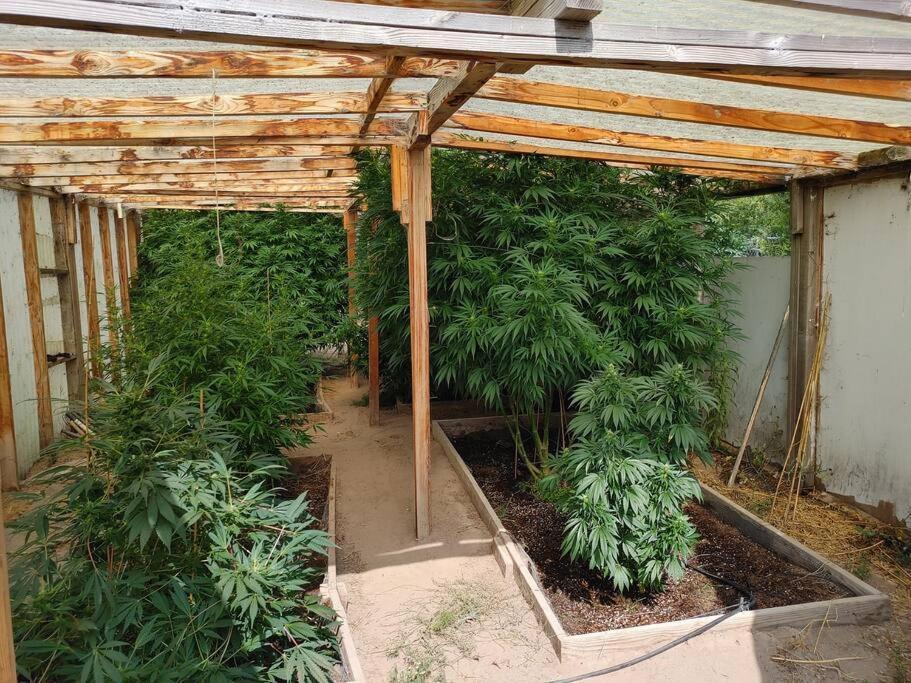 The Ganja Getaway Villa Arroyo Grande Exterior photo